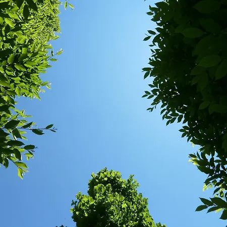 Sangallo Park