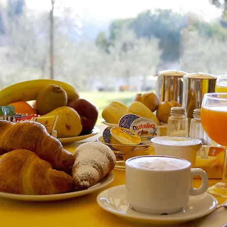 圣加罗公园酒店 酒店