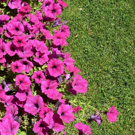 Ξενοδοχείο Sangallo Park 3*