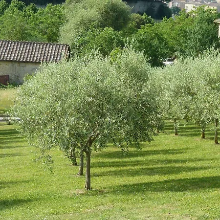 Sangallo Park Ξενοδοχείο