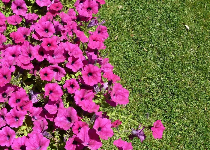 Ξενοδοχείο Sangallo Park 3*