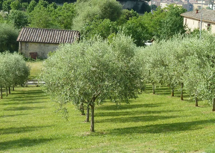 Sangallo Park Ξενοδοχείο